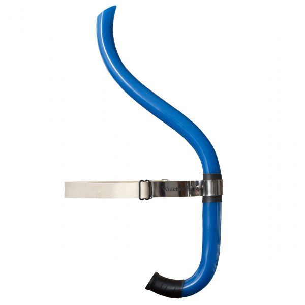 Long d